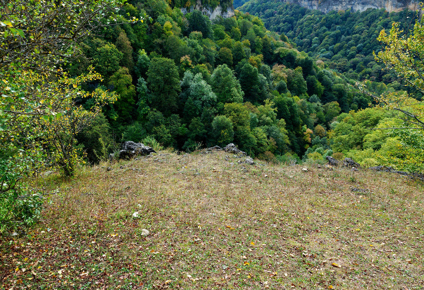 Осенняя соната