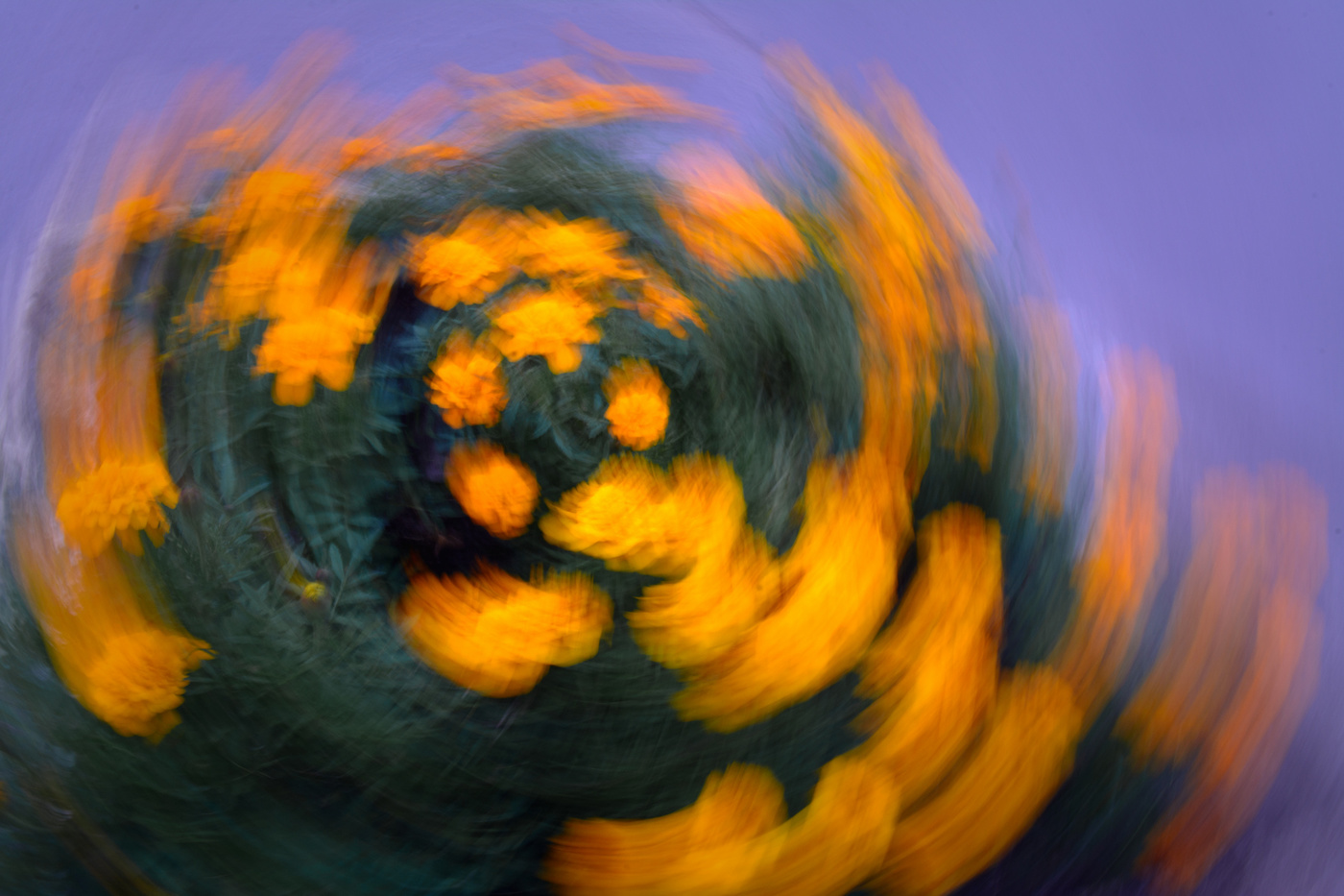 Осенняя соната