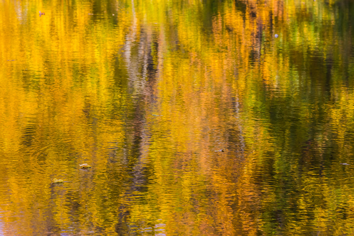 Осенняя соната