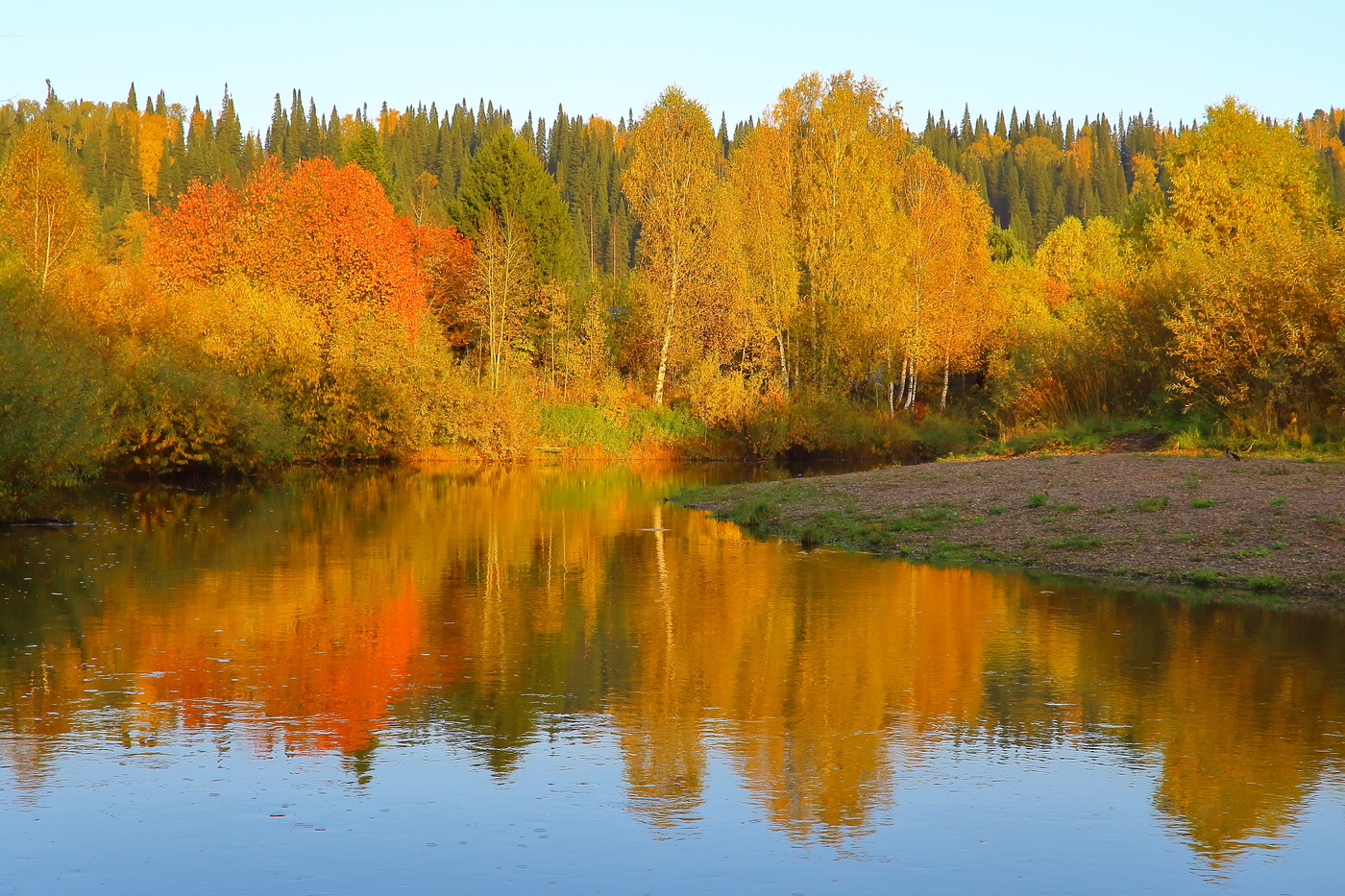 Осенняя соната