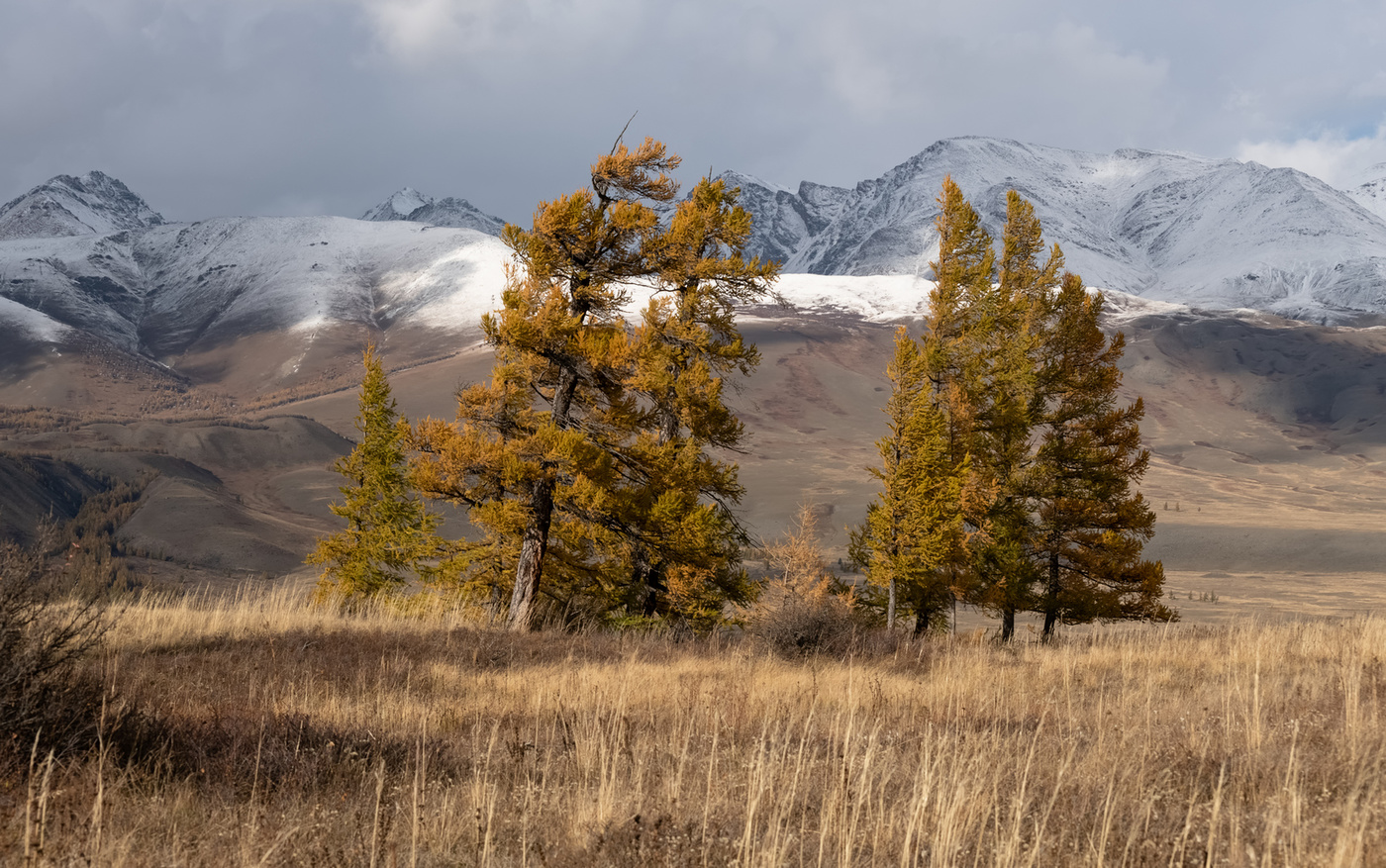 Осенний букет.