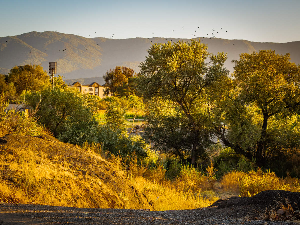 Осенняя соната