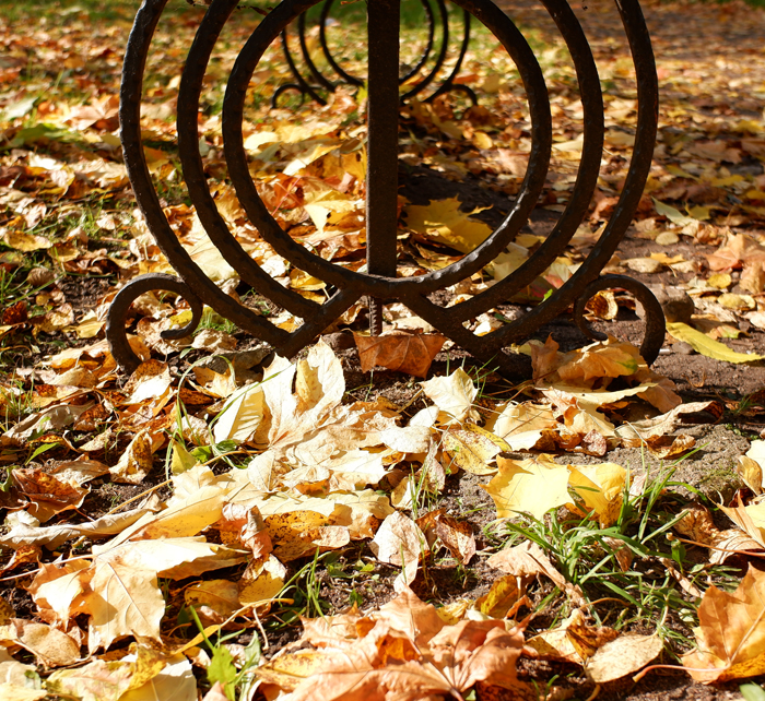 Осенняя соната