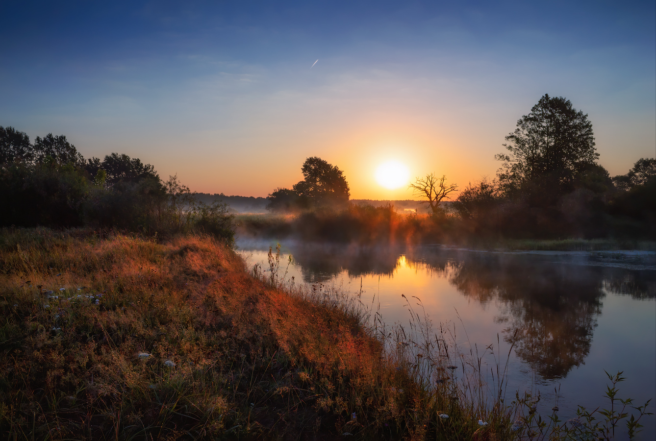 Роса на рассвете