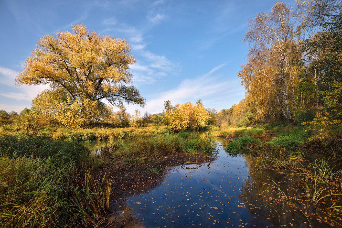 осень пришла