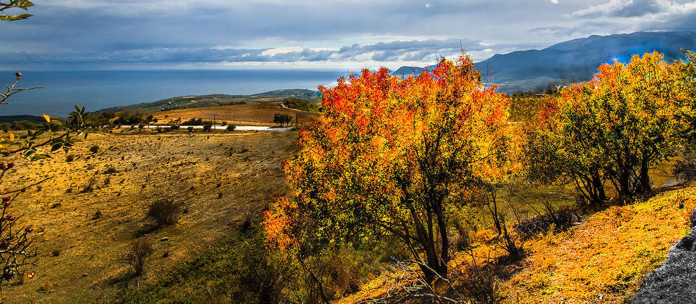 Осенняя пора