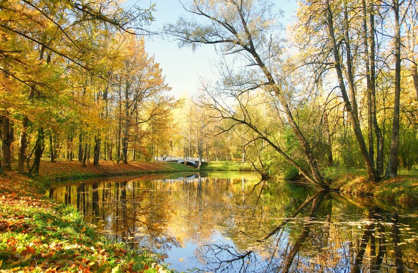 Утро в октябре