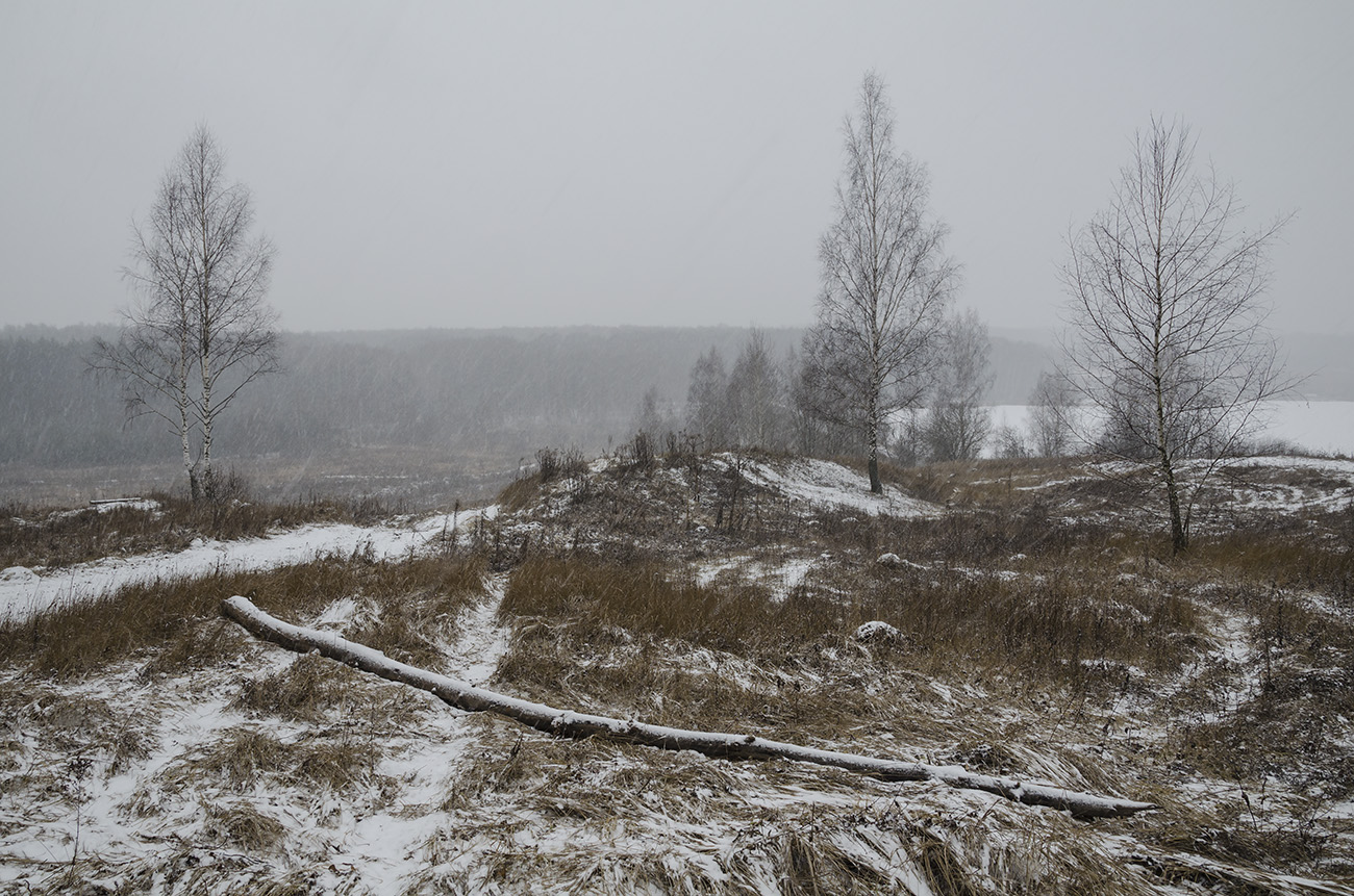 На холмах Архангельского. Декабрь