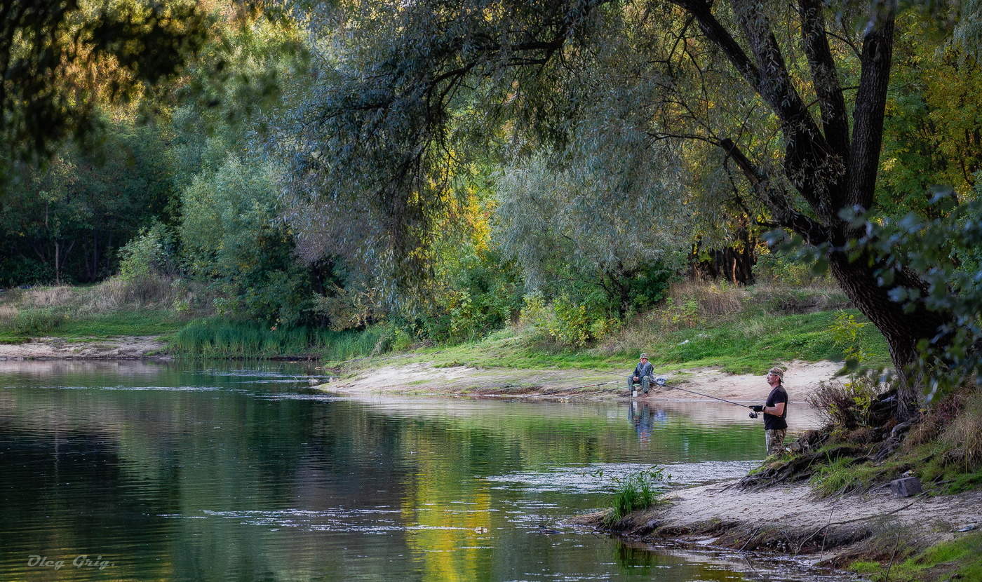 Под ивами осенними...