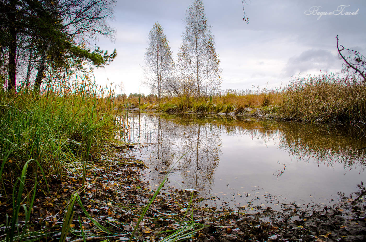 Тихая заводь ...
