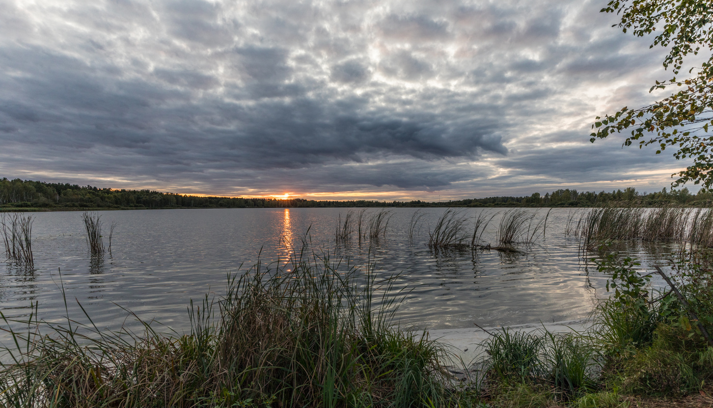 Сентябрь 2020