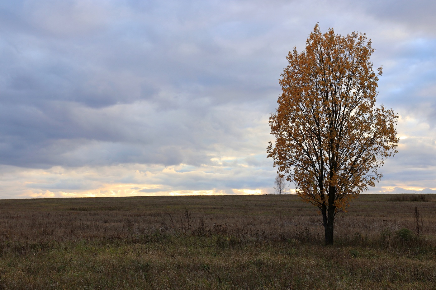 В одиночестве