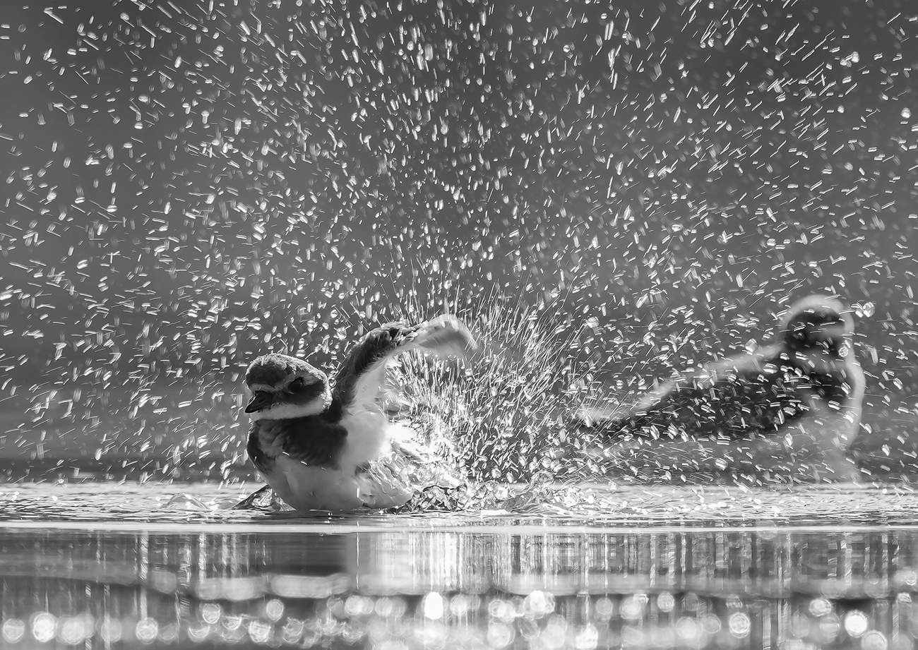 Кайф галстучника