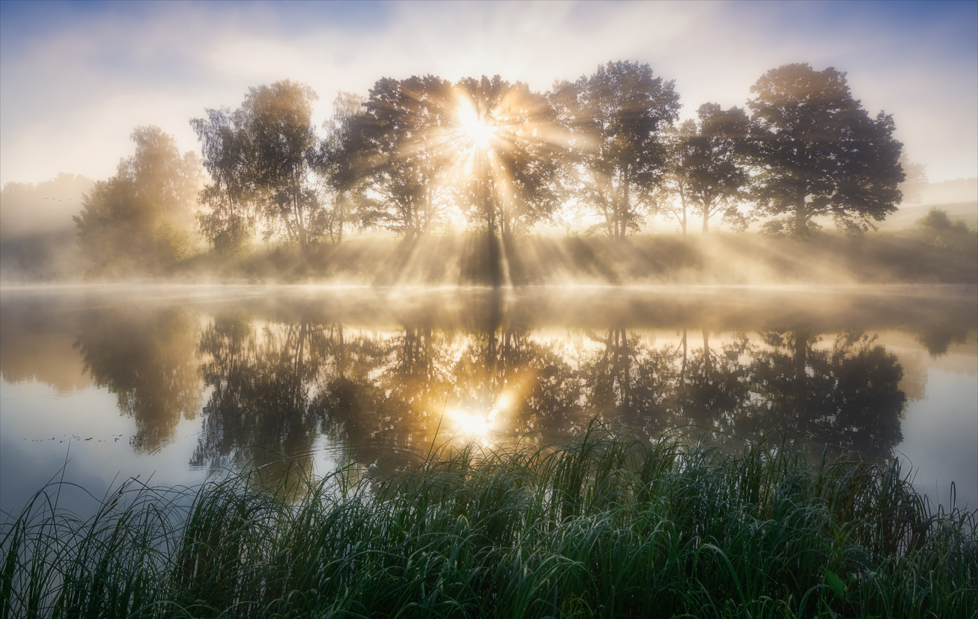 Свет утра золотого.