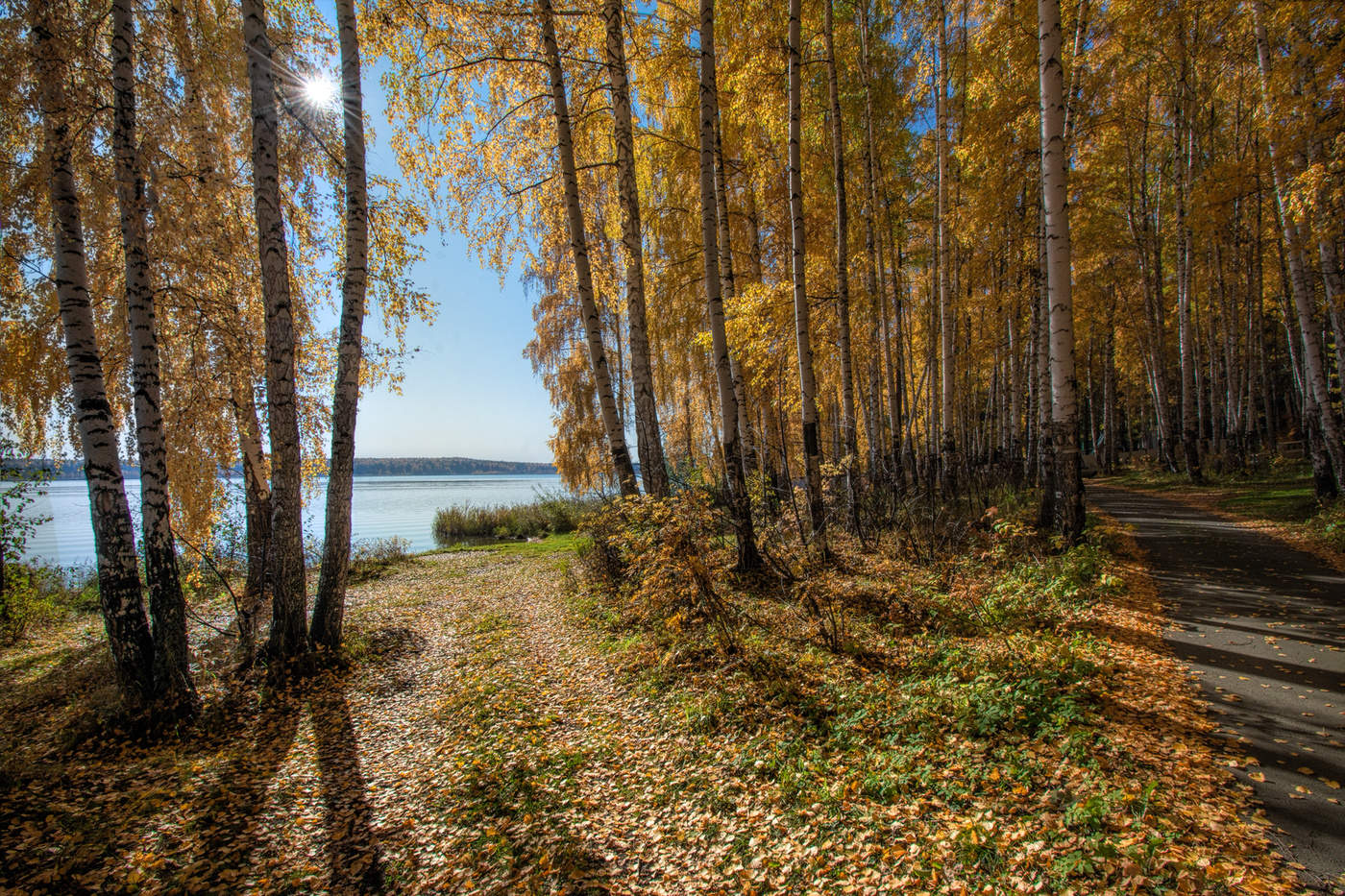 Осенний полдень
