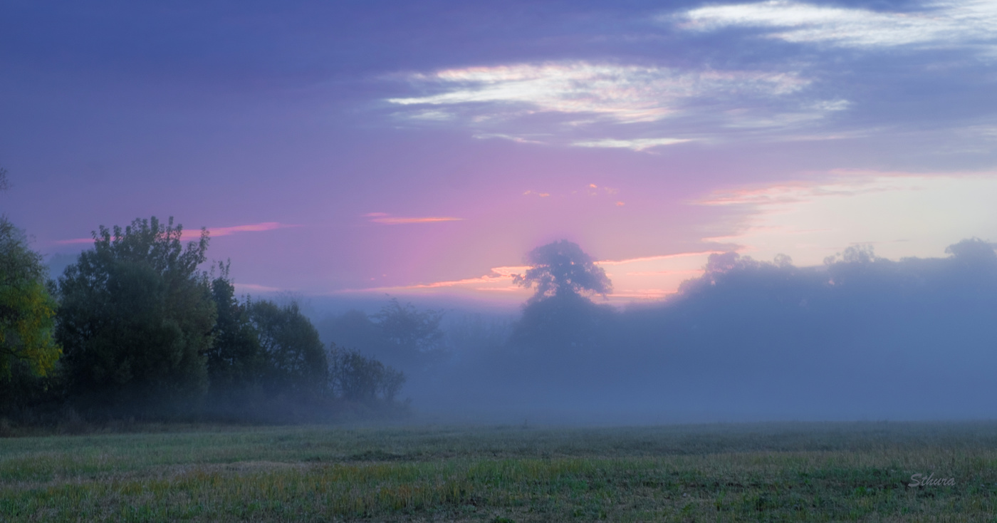 В поле туман.