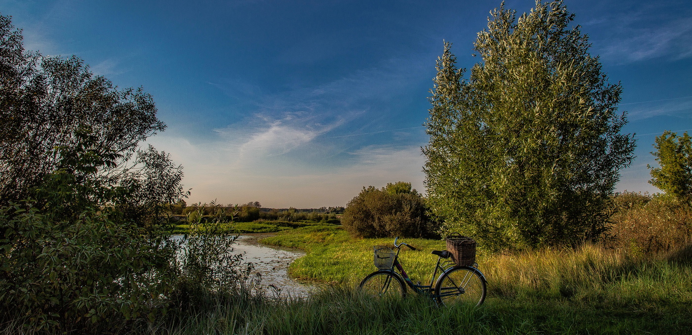 Туда,где живут караси...