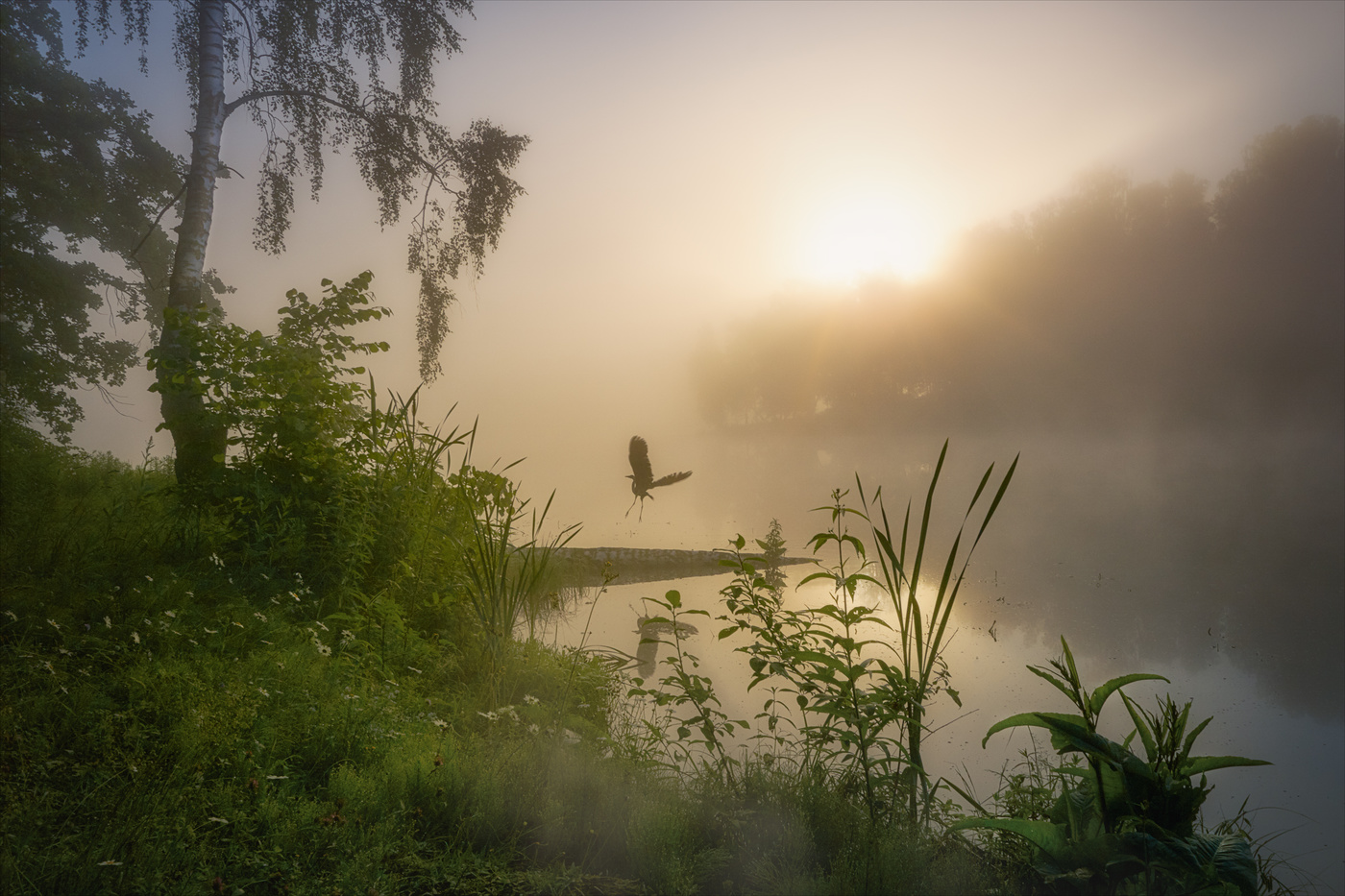 Улетай птичка...