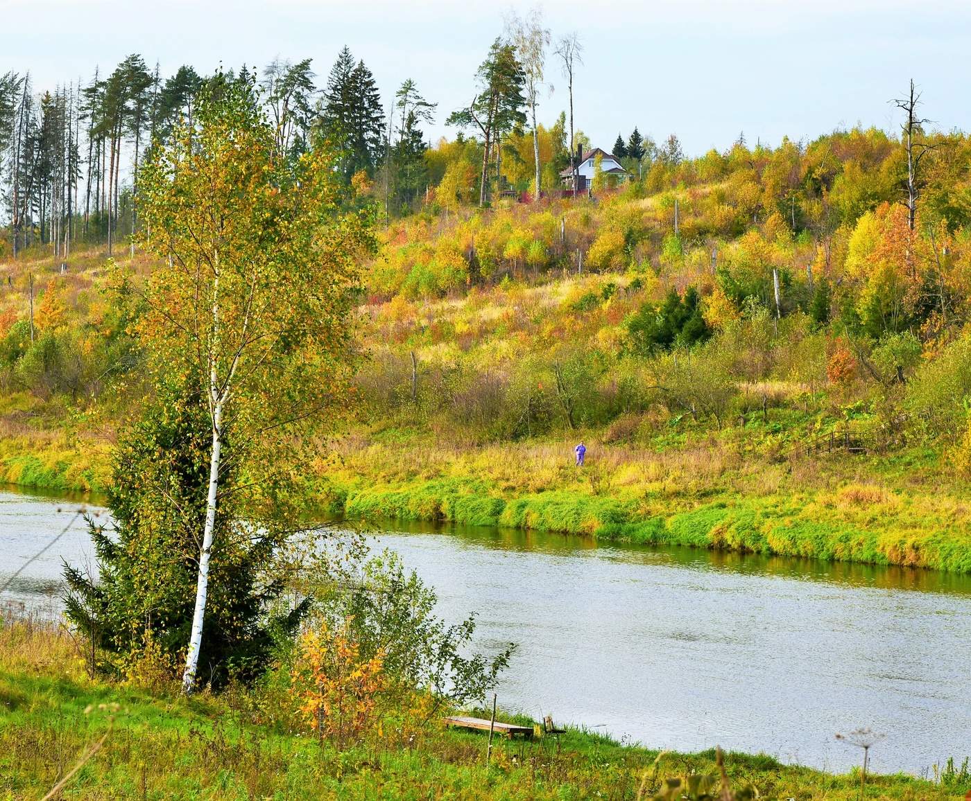 "На прощанье осталась оторопь желтой листвы за окном..."