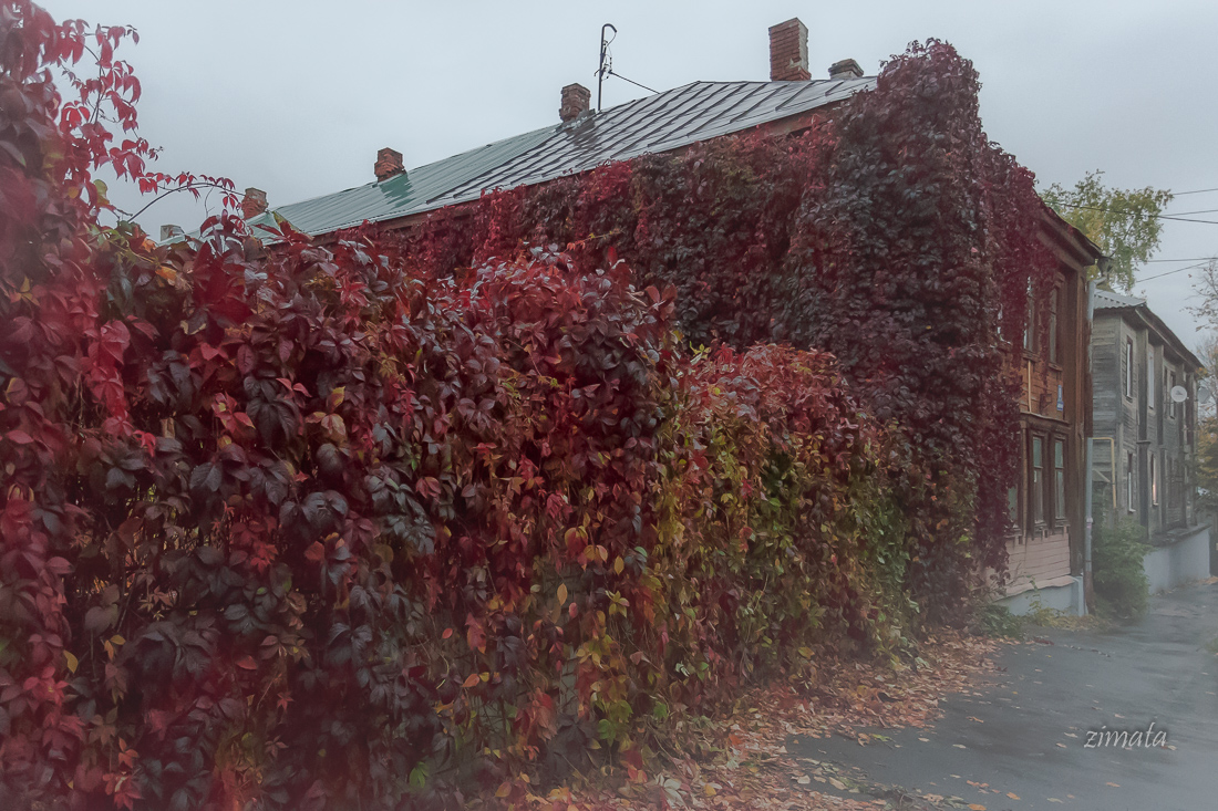 осенняя красота