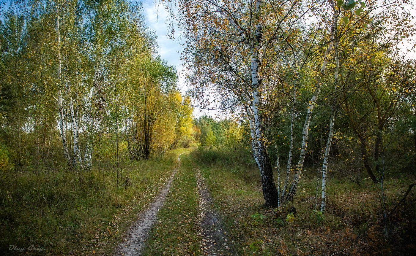 Тихо Осень бредет по судьбе...