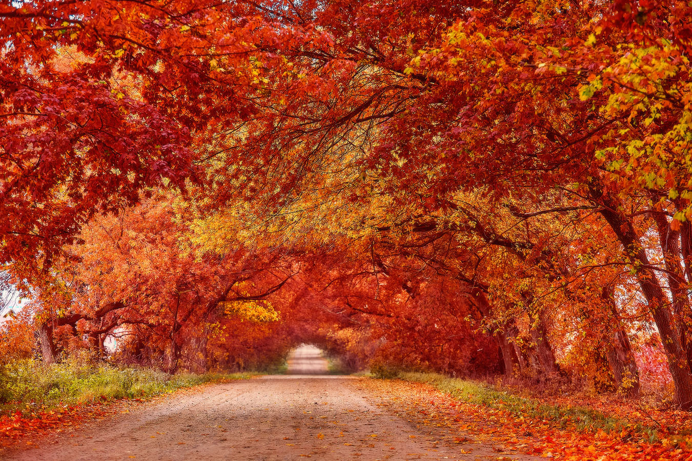 Осенние грезы