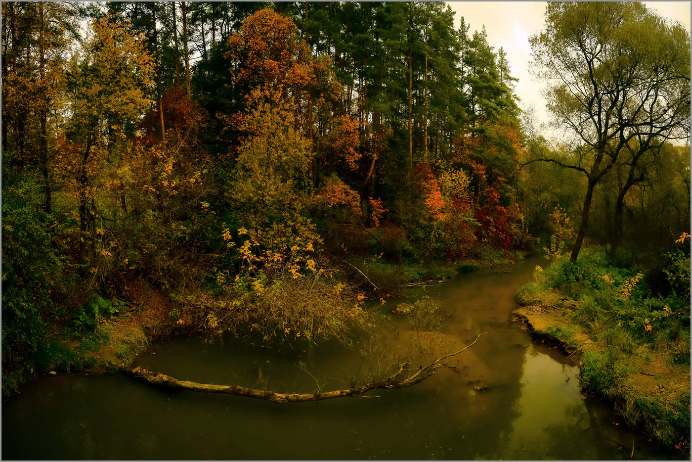 Там лес и дол видений полны