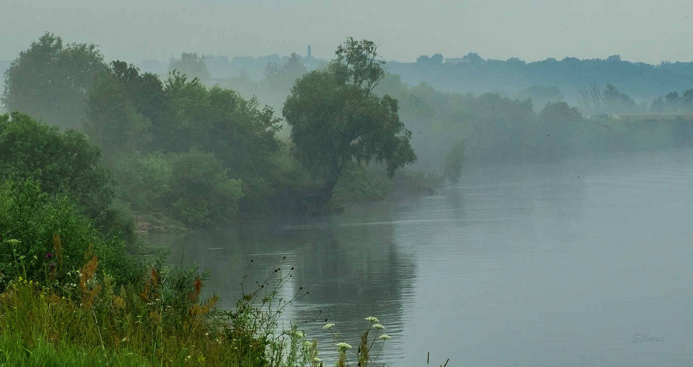 Левый берег Оки.