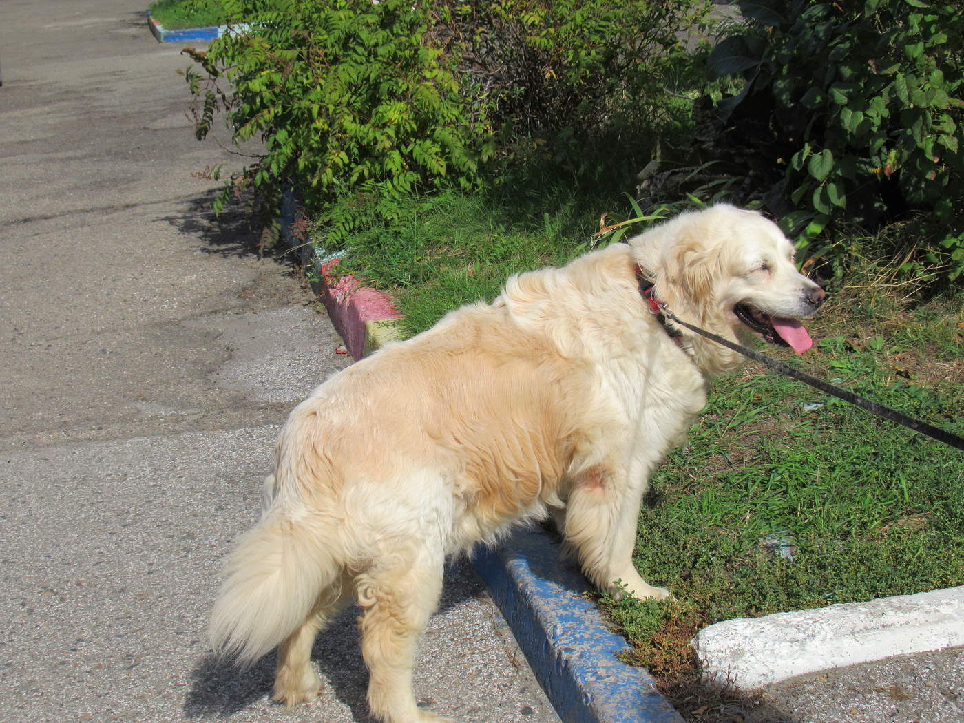 Просто яркое солнце!