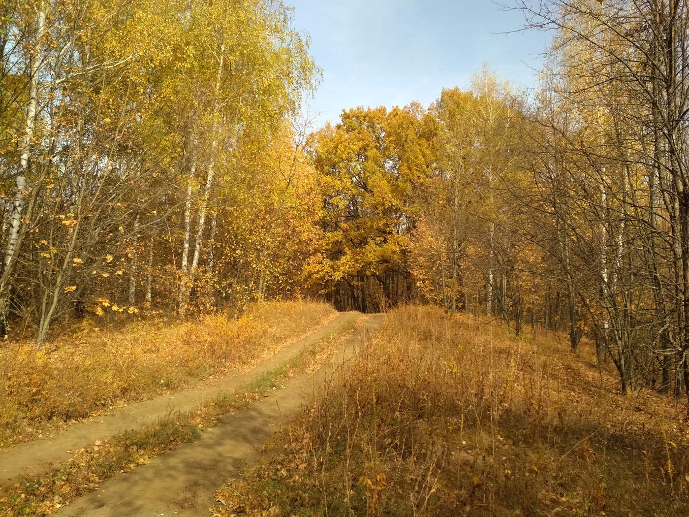 дороги осени