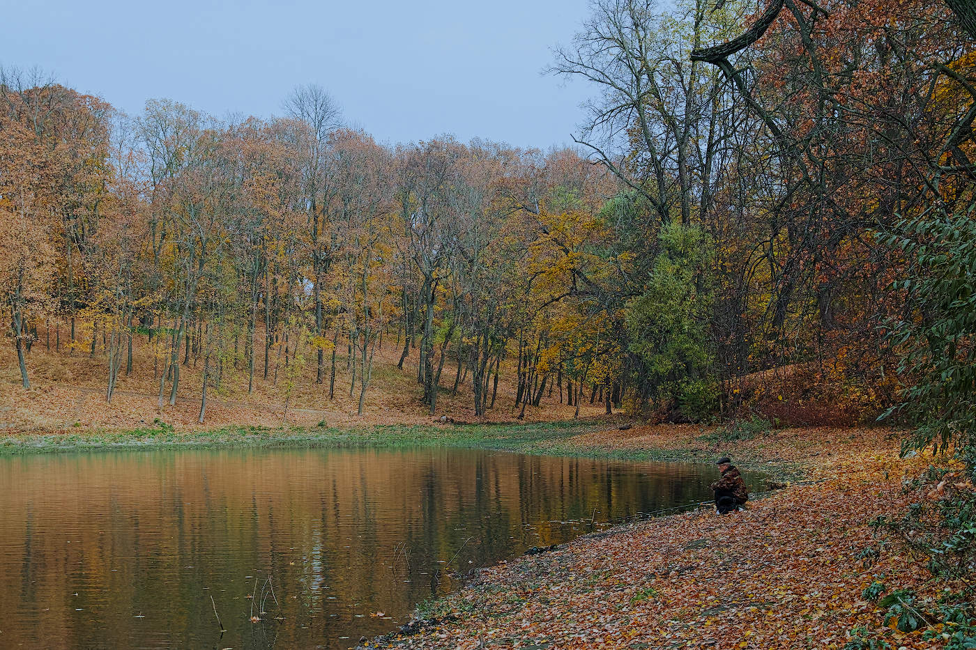 На золотом ковре