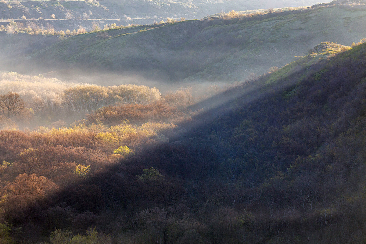 Утро Донецкого кряжа
