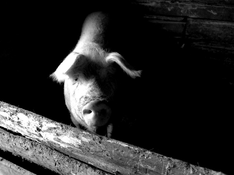 Сегодня ночью