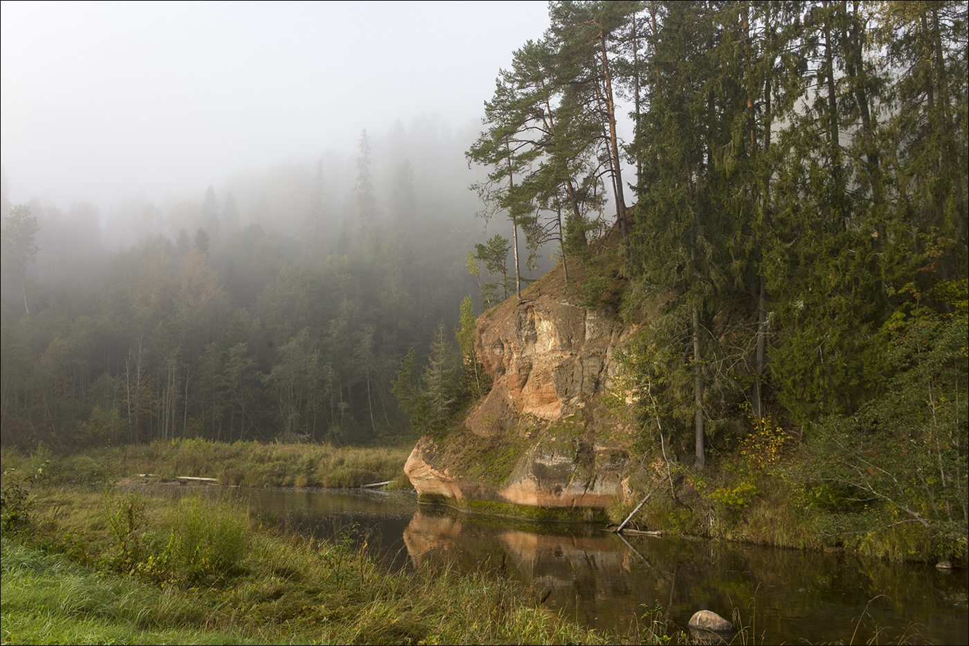 Из тумана выплывает