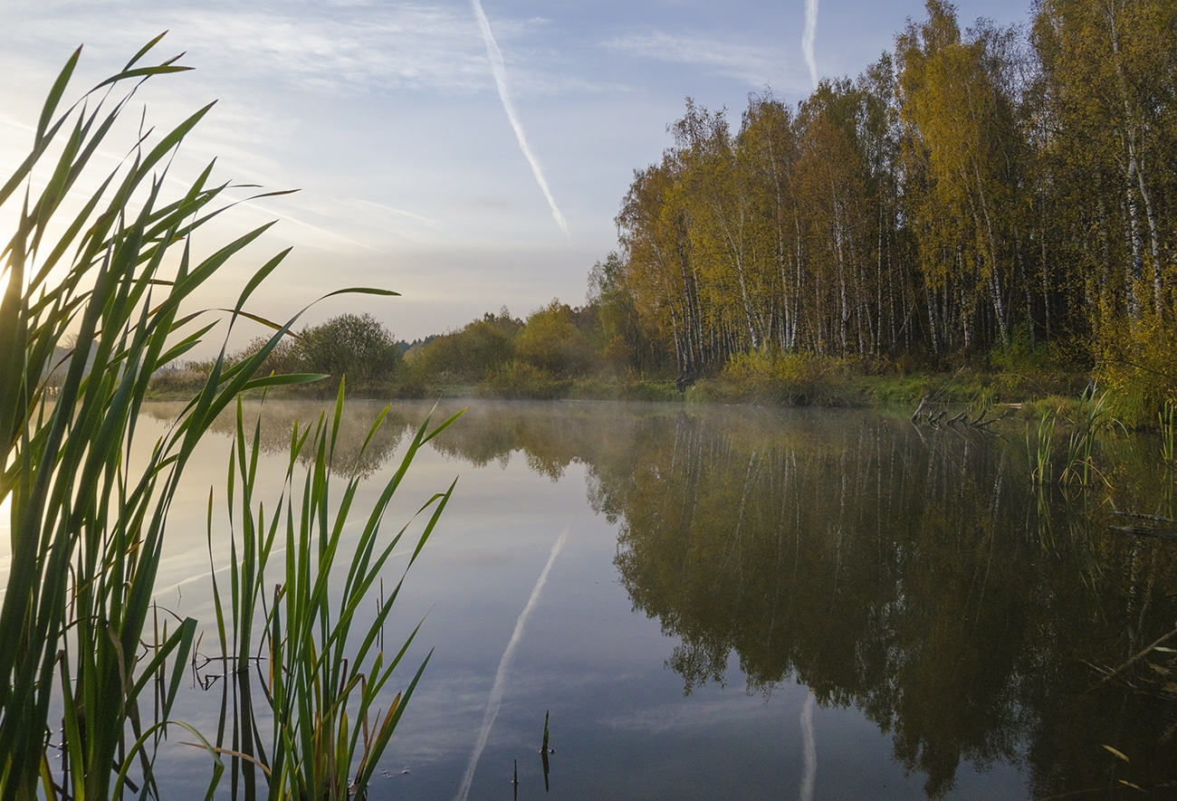 Там, где березняк граничит с прудом