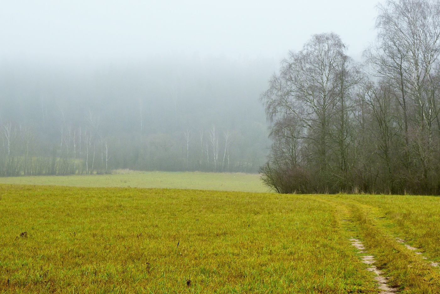 "Поздняя осень. Грачи улетели ..."