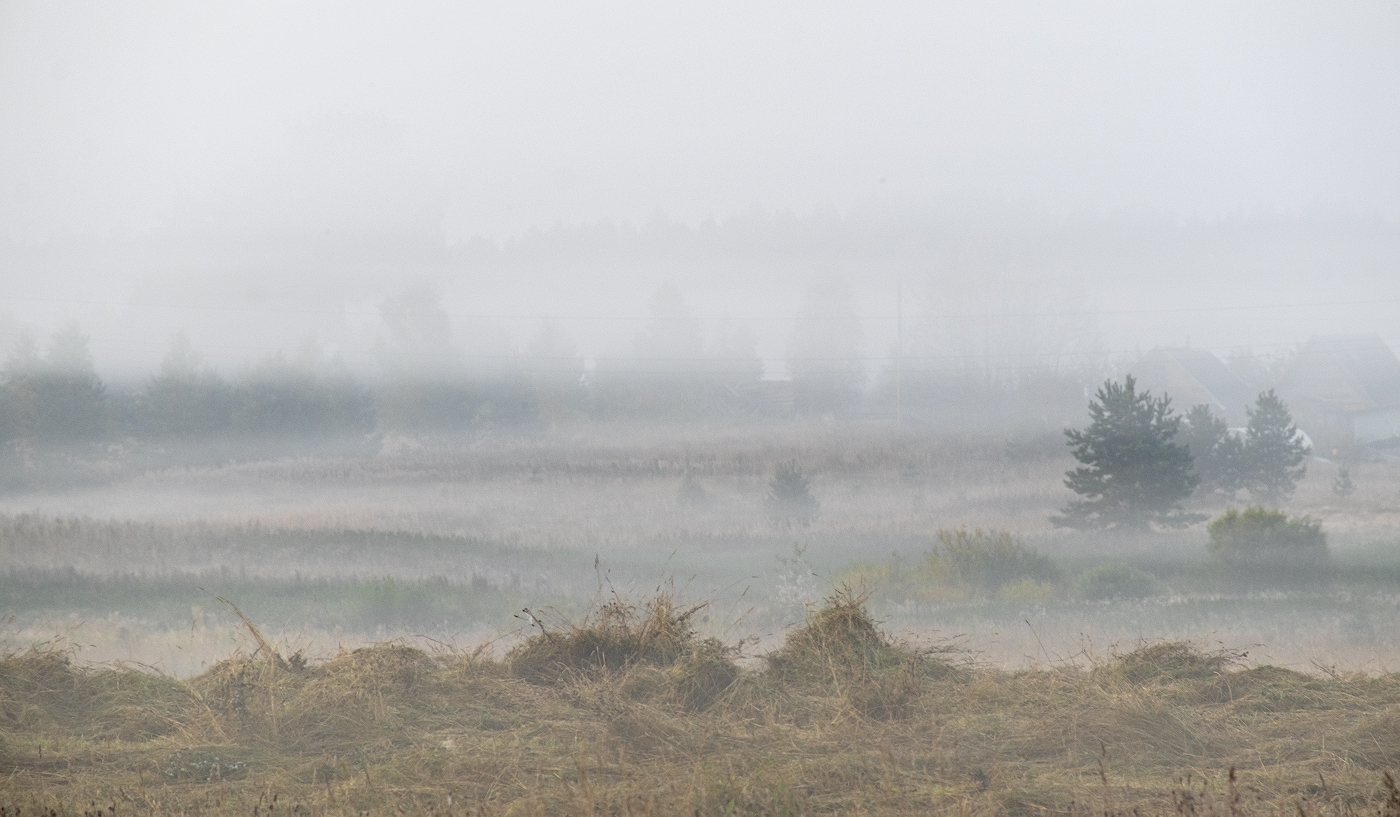 Я приехал за туманом...