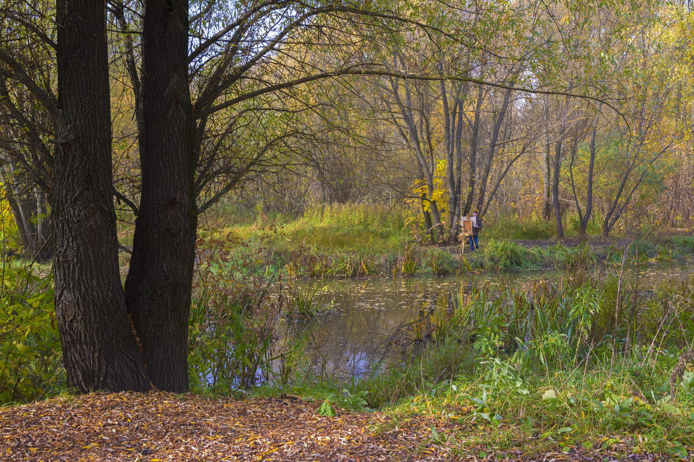 осенний пейзаж