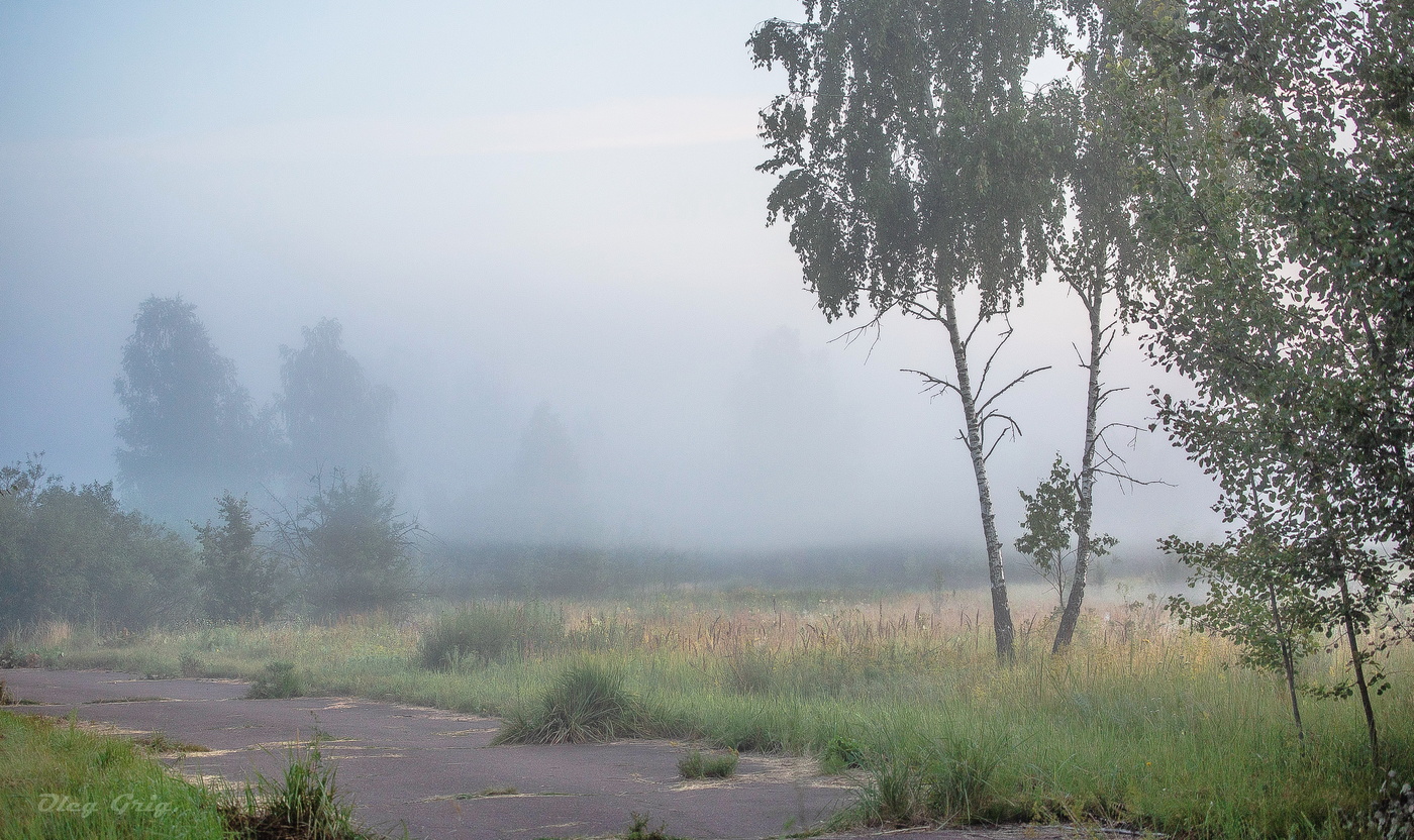 Туман укрыл дремавший лес...