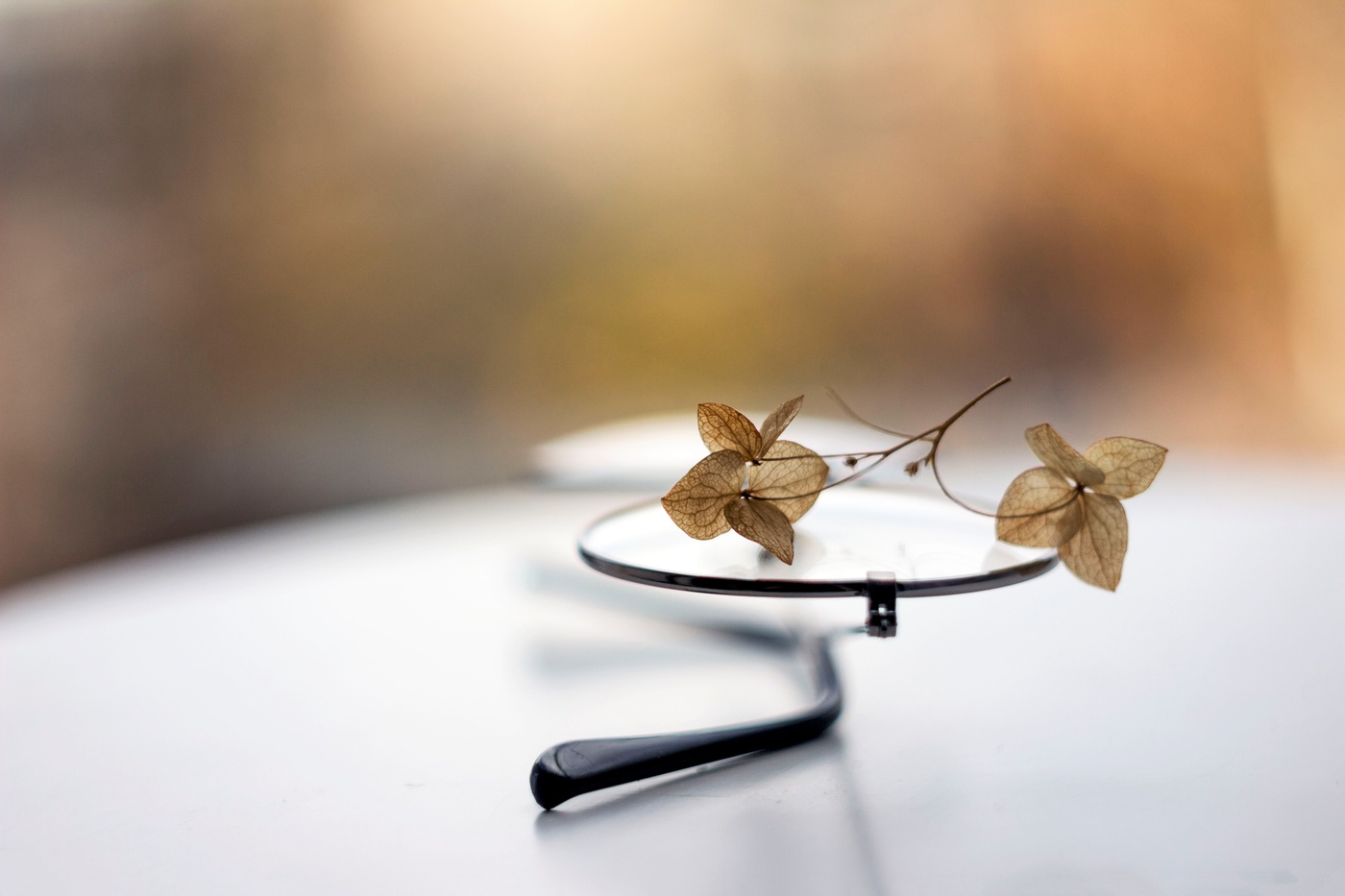 Осеннее лирическое))