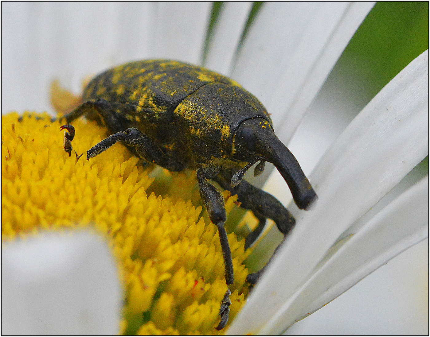 Путешествие по прекрасному миру.