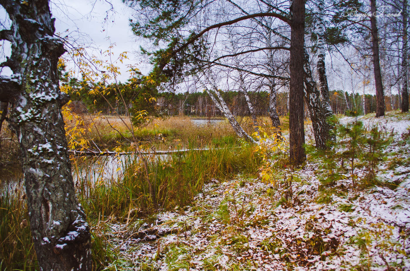 В каждом мгновении осени есть частичка чего-то прекрасного.