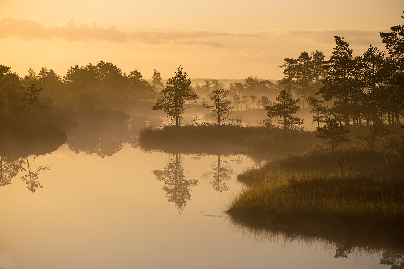 Многоплановость тумана