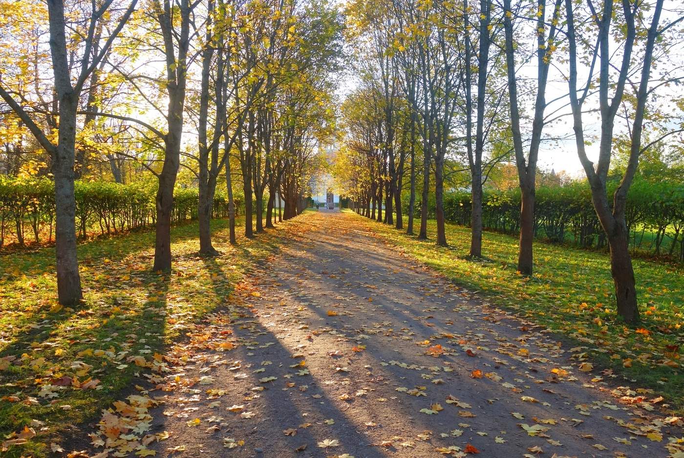 Прогулка в парке
