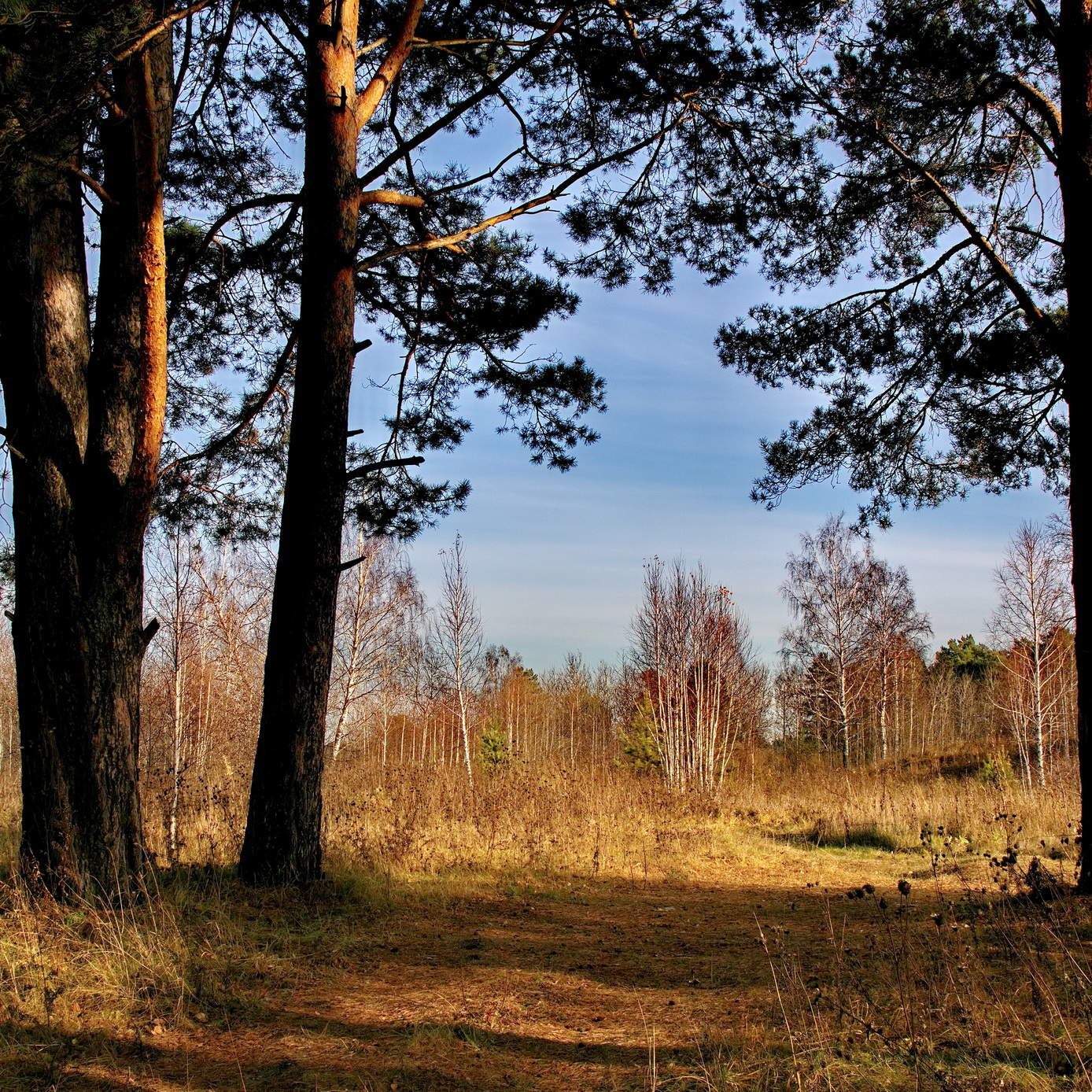 Октябрьский полдень.