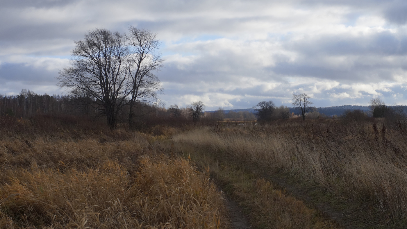 Субботняя прогулка в 16 км.