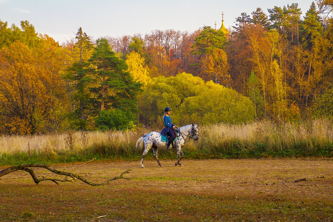 Однажды вечером...