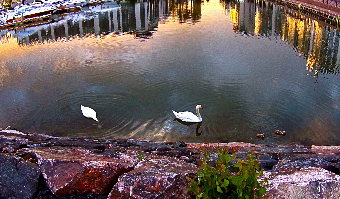Время белых ночей