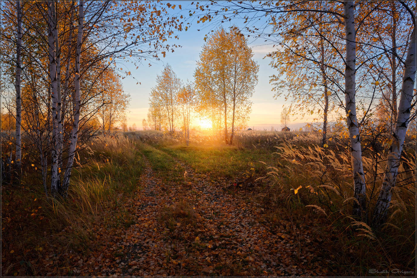 Рыжая Осень