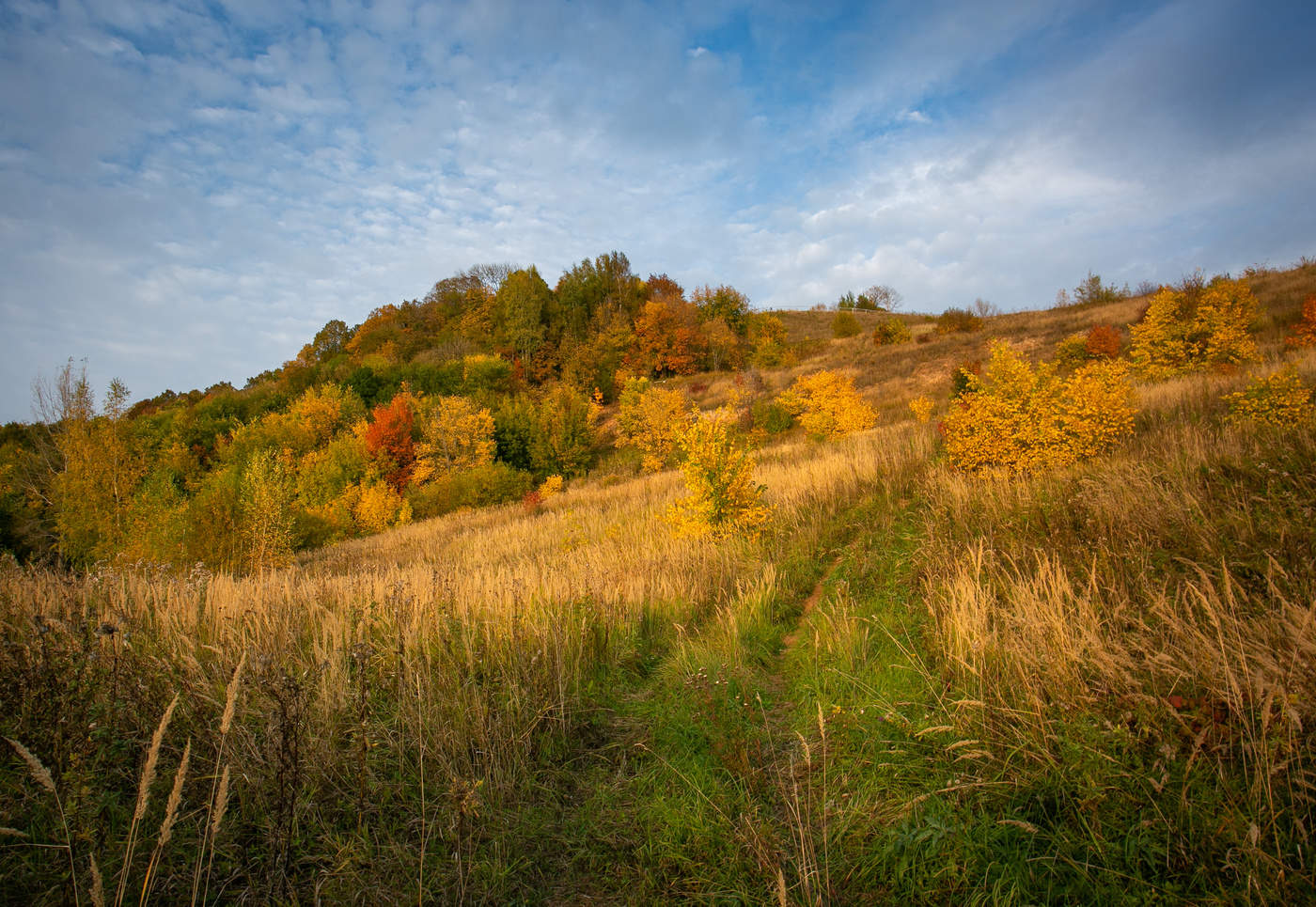 Краски осени